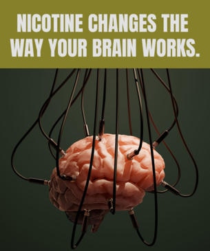 Nicotine changes the way your brain works
